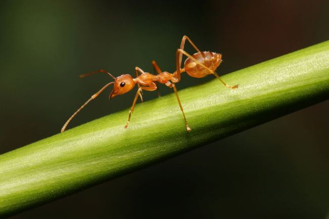The secret to nature photography is to get up close!