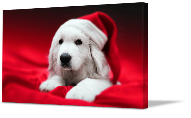 Easy Christmas Crafts - Puppy Print