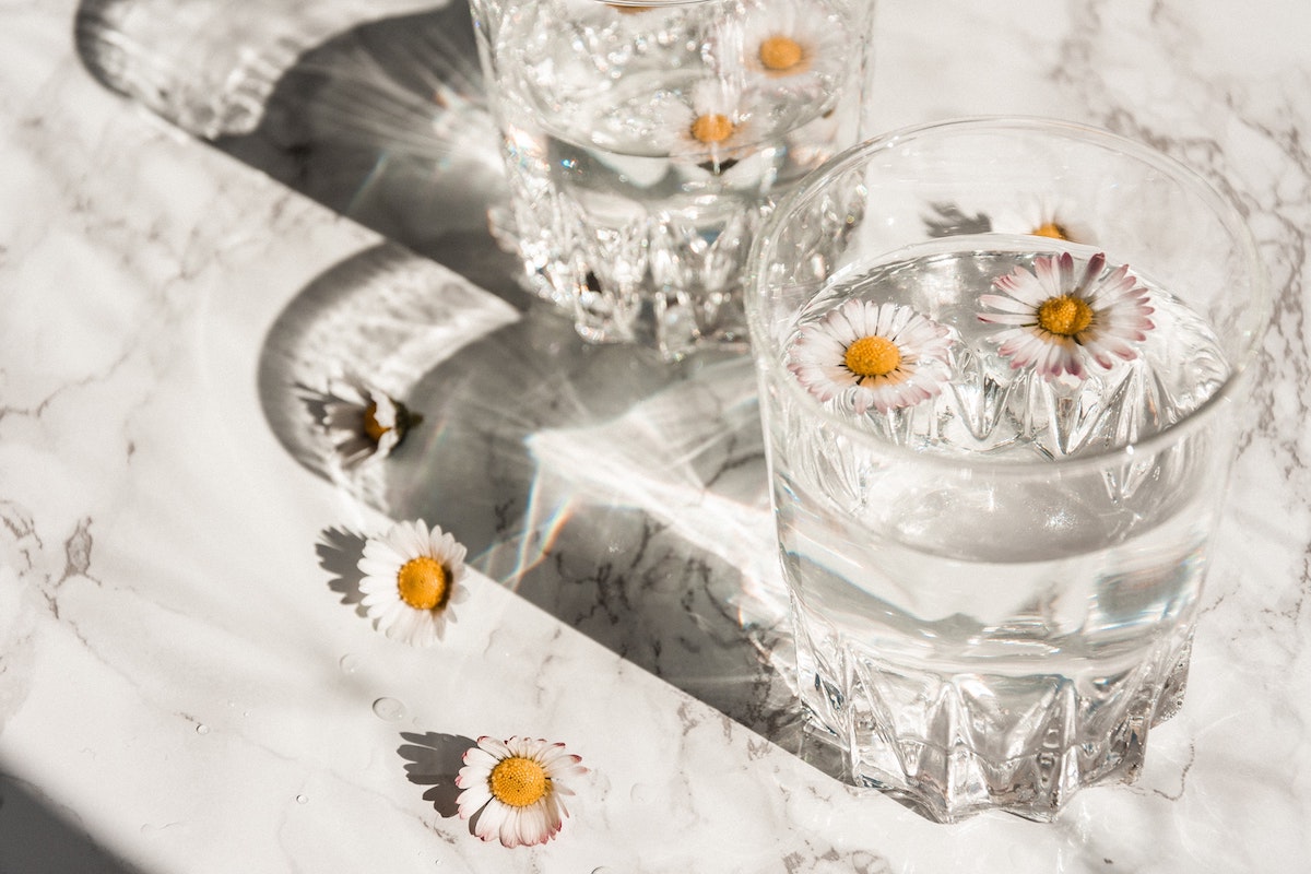 A Guide to Still Life Photography and Canvas Printing