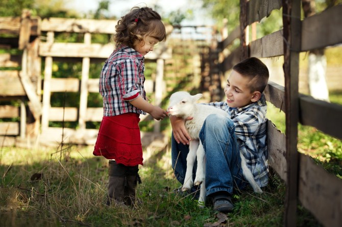 Photography Ideas - Baby Animals