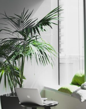 office decorating ideas greenery