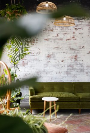 earthy tones green couch